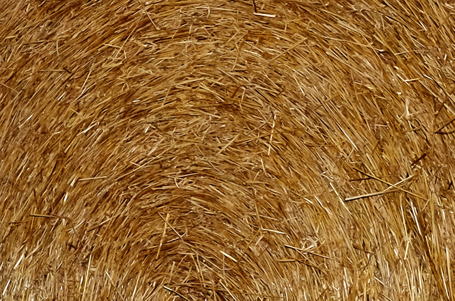 Straw_Round_IMG_2488