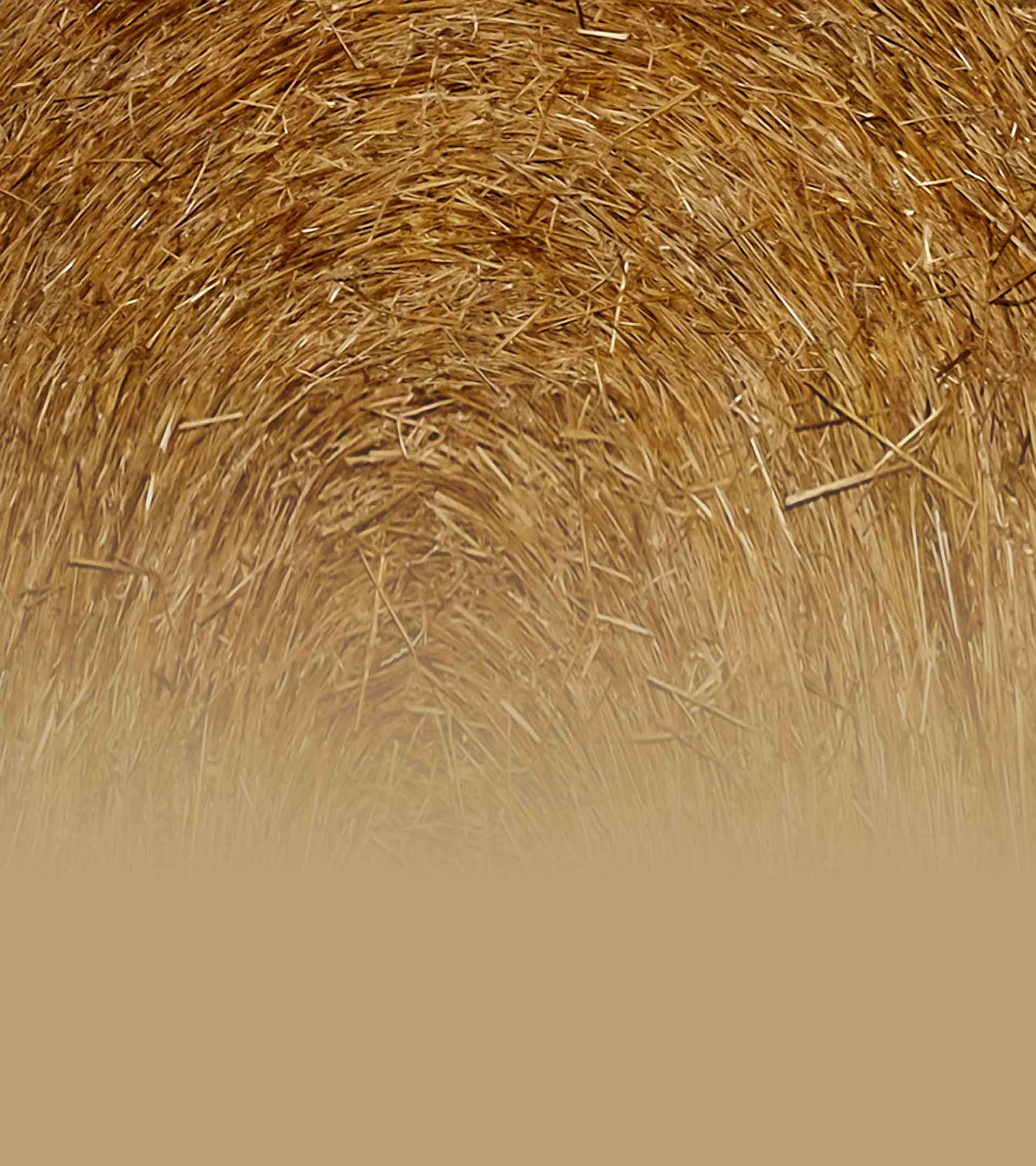 Web_Straw_Round_BG_2488